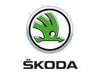 Ремонт турбины Skoda